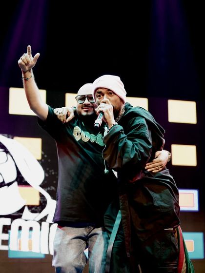 Hitesh Kukreja - Wedding DJ Services Star Power & Artist Collaborations photo 22