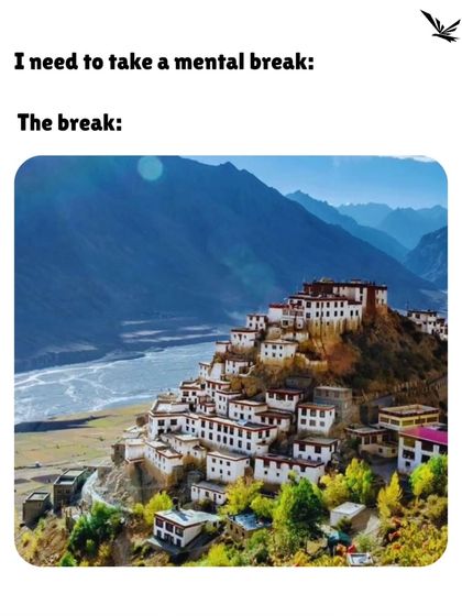 The Travel Bug: Memes & Motivation photo 7