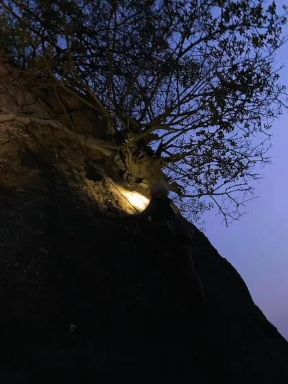 A climber ascends a route under the light of a headlamp, with the tree canopy creating a natural frame. Night climbing reveals a different kind of beauty at the crag.