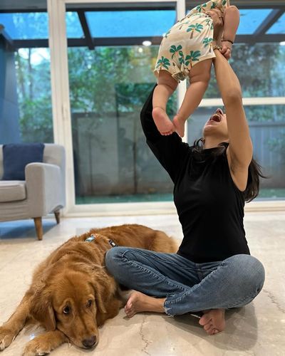 Dog and Child Safety & Integration