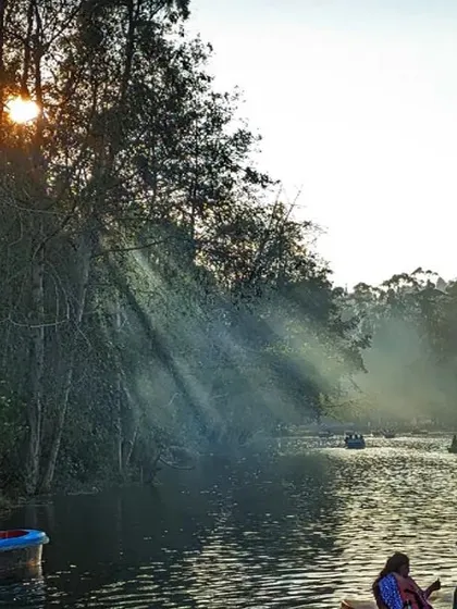 Sunbeams breaking through the morning mist over the lake, creating a beautiful and serene scene.