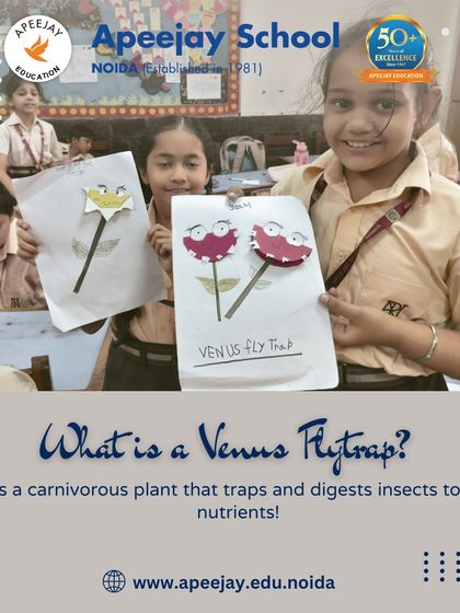 What is a Venus flytrap? Our students learned that it's a carnivorous plant that traps and digests insects for nutrients. Their creative models, like the one shown here, helped reinforce this knowledge.