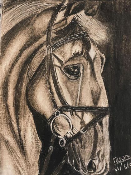 Shikha Goel - Art Classes & Workshops Sketching Animals & Nature photo 31