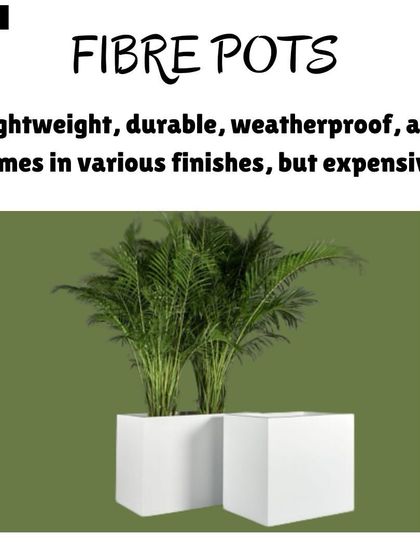 Hygrinz - Plant Sales & Gardening Supplies Gardening Supplies: The Right Foundation photo 6