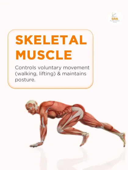 Skeletal muscle controls all your voluntary movements, from walking to lifting. It's also responsible for maintaining your posture.