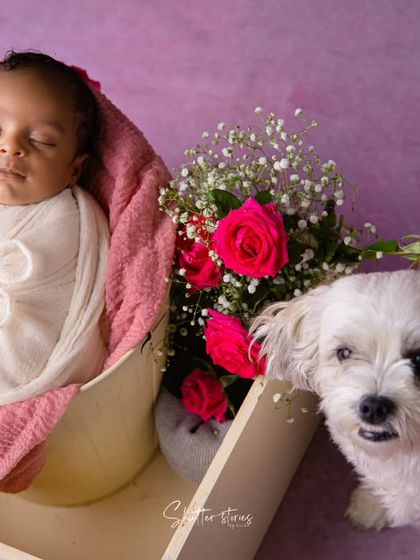 A furry big brother stands guard over the newest member of the family. Including pets in newborn sessions creates such special memories.