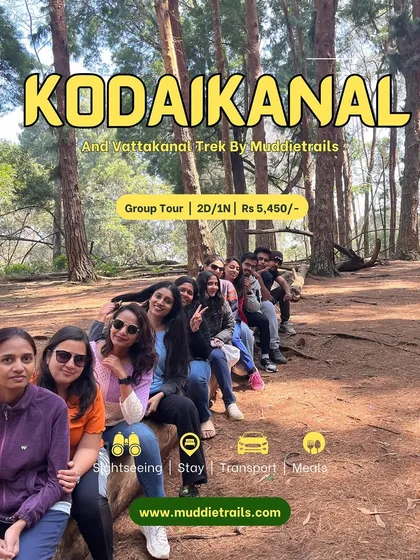 A fun group pose in the pine forests of Kodaikanal. I offer 2-day group tours that cover trekking and sightseeing, all planned for you.
