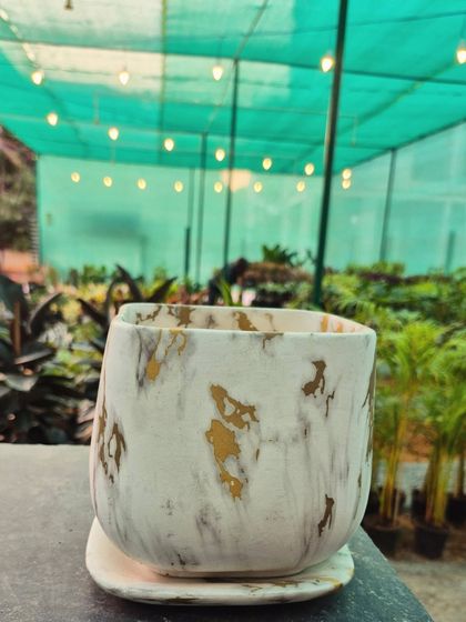 This elegant ceramic pot features a white and gold marble finish, perfect for adding a touch of contemporary style to your plant collection. It comes with a matching plate for drainage.