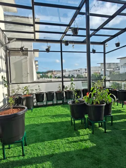 A complete terrace garden setup we created for a client, featuring a sturdy pergola, artificial grass flooring, and a variety of plants in neat, elevated pots. This design is perfect for enjoying the outdoors in any weather.