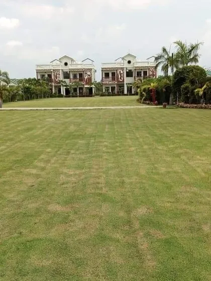 We can create vast, open green spaces like this large lawn for farmhouses and large estates. A well-maintained lawn of this scale is perfect for events, recreation, or simply enjoying the open view.