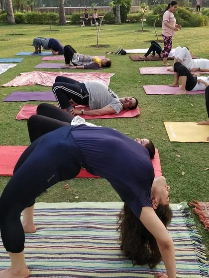 Participants practicing Chakrasana (Wheel Pose) on the grass. My classes include a mix of poses to build both strength and flexibility.