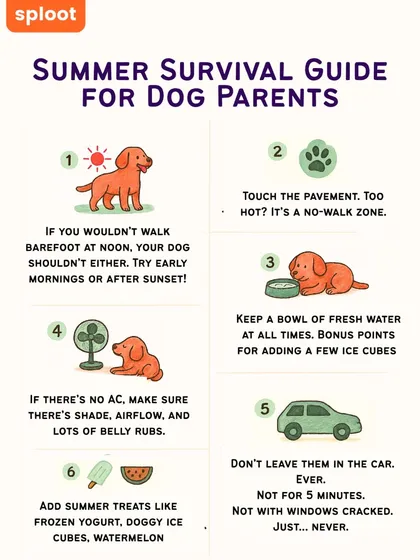 Summer heat can be dangerous for dogs. Our summer survival guide offers simple tips to keep them cool and safe, like checking the pavement temperature before walks and never, ever leaving them in a car.