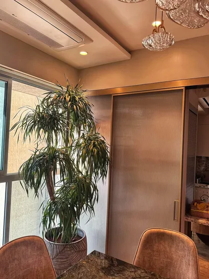 Tall indoor plants are essential for great home decor. Their impressive height adds striking visual interest and effectively fills vertical space, making this room feel more balanced, inviting, and thoughtfully designed.