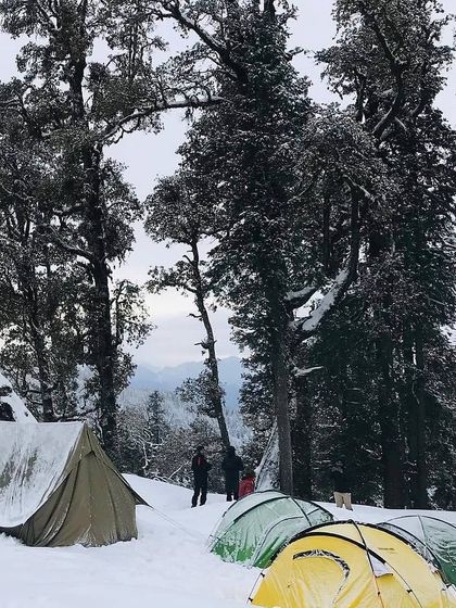 A variety of tents, including a large canvas one, set up in a clearing surrounded by snow-laden trees. This shows a typical basecamp for a multi-day snow trek.