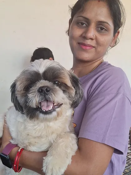 A visitor smiles while holding a happy, fluffy Shih Tzu.