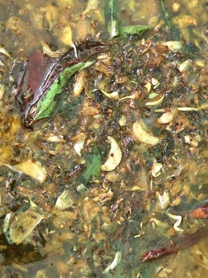 A Taste of Our Vegetarian Cuisine photo 15