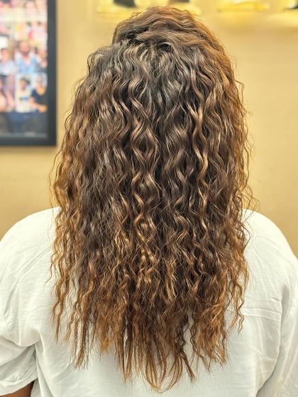 The back view of long, curly hair with a beautiful color blend. The highlights are woven through the curls to create a rich, dimensional, and textured look.