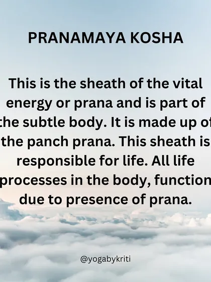 This graphic explains the Pranamaya Kosha, the sheath of vital energy or prana. It is part of our subtle body and is responsible for all life processes.