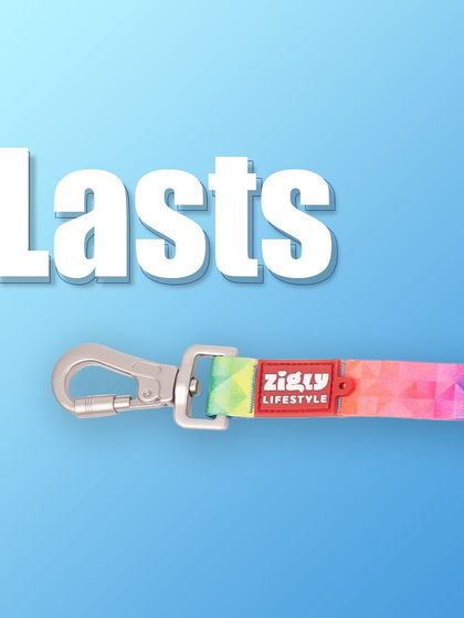 Zigly - Pet Supplies Our Exclusive Products photo 31