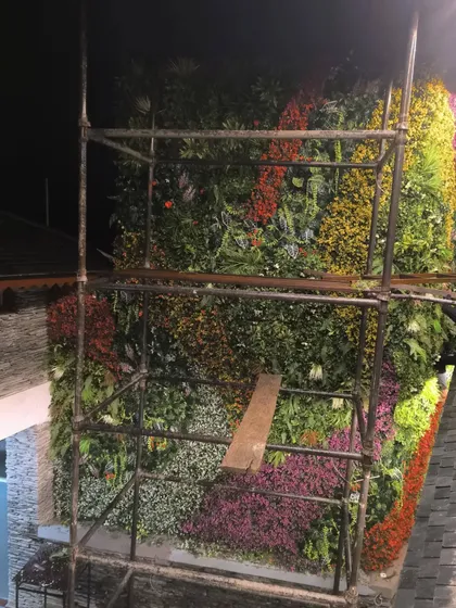 A behind the scenes look at a large artificial green wall project for a restaurant in Himachal Pradesh. You can see the scaffolding we use to safely install on tall walls.