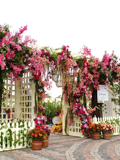 A beautiful white picket fence entrance adorned with pink bougainvillea. This design creates a charming and welcoming entryway for a garden-themed event.