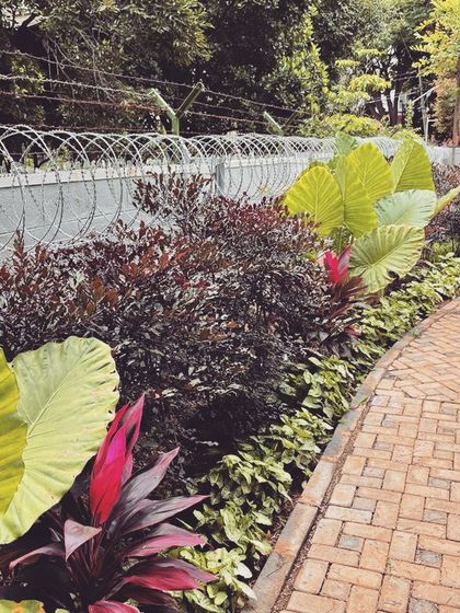 Neo Roots Design - Hardscaping & Outdoor Structures Pathways & Entrances photo 4