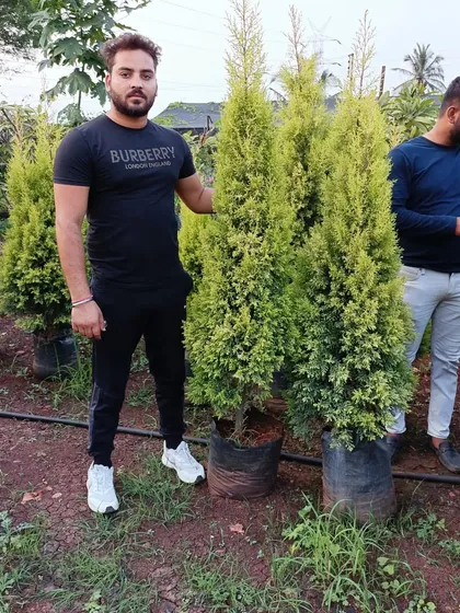 Standing with a client next to some of the Golden Cypress trees they selected from our nursery for their project.