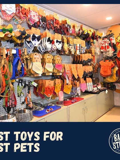Best toys for the best pets! Our in-house pet shop is stocked with a wide variety of toys, accessories, and clothing for your furry friends.