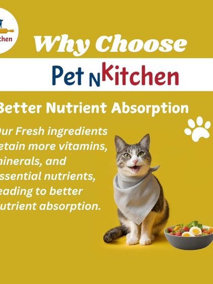 This image of a cat ready to eat highlights an important benefit: better nutrient absorption. Because my ingredients are fresh, they retain more vitamins and minerals, ensuring your pet gets the full nutritional value from their food.
