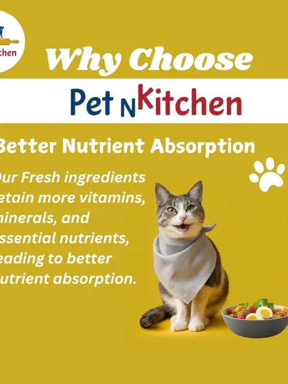 This image of a cat ready to eat highlights an important benefit: better nutrient absorption. Because my ingredients are fresh, they retain more vitamins and minerals, ensuring your pet gets the full nutritional value from their food.