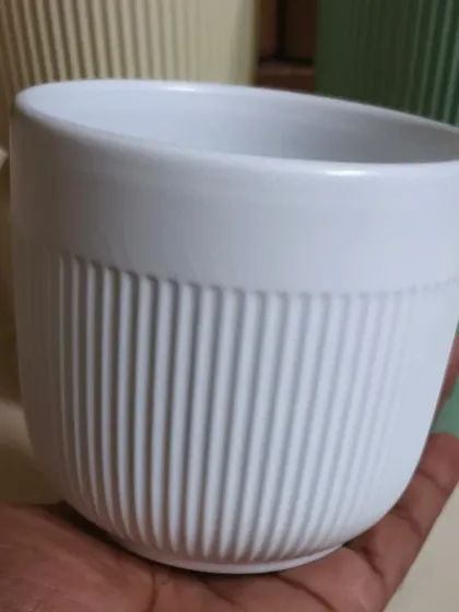 A close-up of our small, white ceramic pot with a ribbed texture. This is a popular choice for small desk plants or for creating a uniform look with multiple pots.
