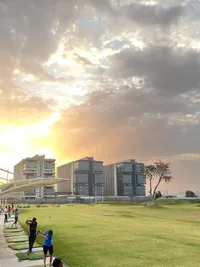 Golf Lessons & Coaching