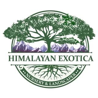 Himalayan Exotica