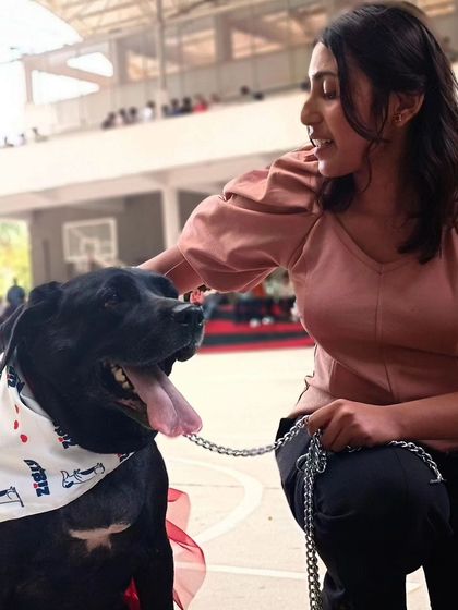 Zigly - Pet Supplies From Our Community: Happy Pets & Parents photo 33