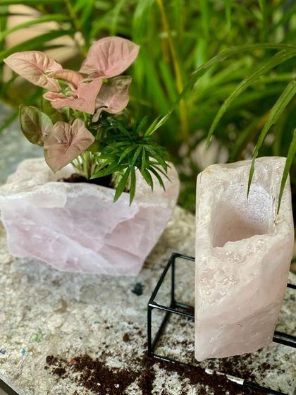 Greenhouse - Curated Artisan & Vintage Decor Decorative Pottery & Accents photo 8