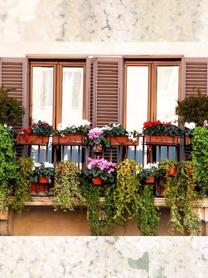 Reimagine your window decor with plants. This beautiful balcony is overflowing with a mix of colorful flowers and trailing green vines, creating a stunning natural curtain.