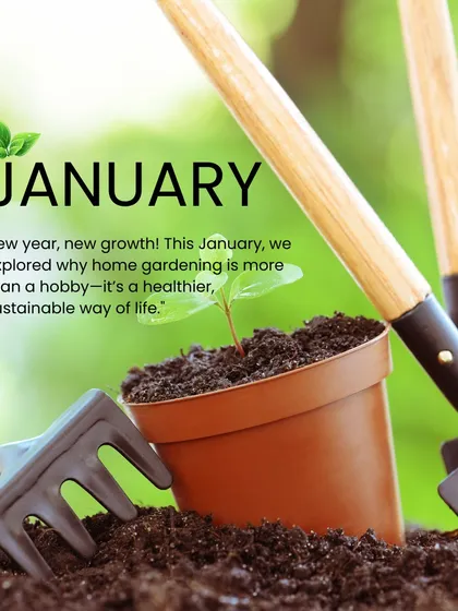 New year, new growth. Home gardening is a healthier, more sustainable way of life. It all starts with rich soil and the right tools.