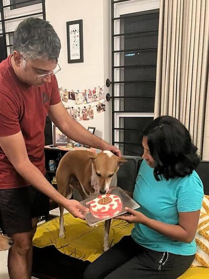 A heartwarming welcome home for Lucky, a resilient rescue dog. We were honored to be a part of her journey by providing a special cake for her new family.