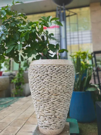 A tall, elegant planter covered in small white pebbles, offering a subtle yet rich texture.