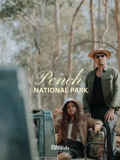 For the couple that finds romance in adventure, a pre-wedding shoot in the untamed wilderness of Pench National Park. We traded palaces for towering trees and found a love story that was wild, free, and completely their own.