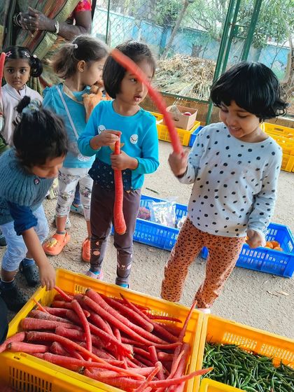 Nivriti Montessori - Summer Camp Field Trips & Outdoor Adventures photo 9