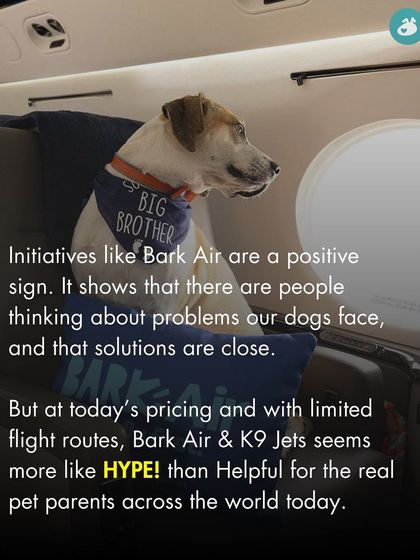 The Pack - Online Pet Parent Community Additional Resources & Updates photo 6