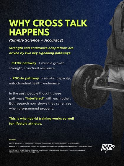 Our Training Philosophy & Systems photo 9