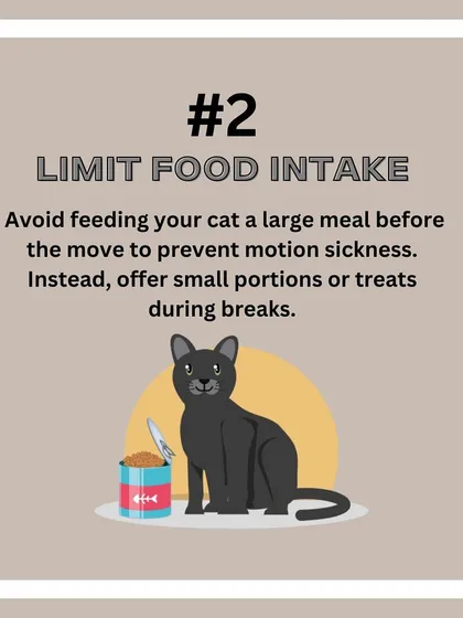 Cat Relocation Tip: Avoid feeding your cat a large meal before travel to prevent motion sickness. Small treats during breaks are a better option.