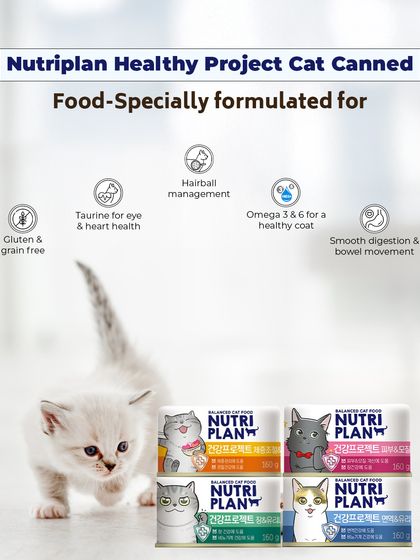 Augie Pets - Pet Supplies For Our Feline Friends: Premium Cat Nutrition photo 22