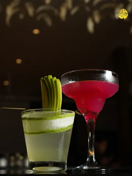 A close-up of two of our signature cocktails from Botanica. We take pride in crafting drinks that are as beautiful as they are delicious, using fresh ingredients and creative garnishes.