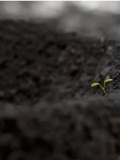 This is a simple, symbolic photo of a tiny green sprout growing out of dark soil. I used selective color to highlight the theme of new life and hope emerging from a difficult environment.