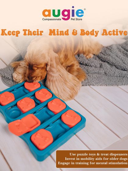 Augie Pets - Pet Supplies Playtime & Cozy Comforts photo 7