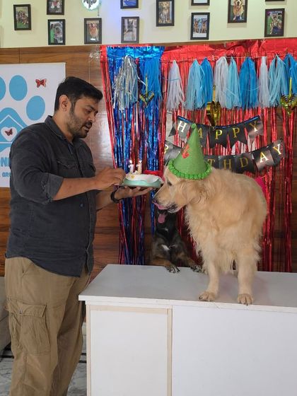 Happy Birthday Jessica. She is wearing her party hat and is ready to celebrate with her friends.