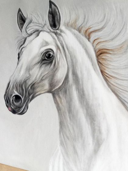 A realistic acrylic painting of a white horse on a 2x2 ft canvas. I focused on capturing the gentle expression in its eyes and the soft flow of its mane, making it a timeless piece for any interior.